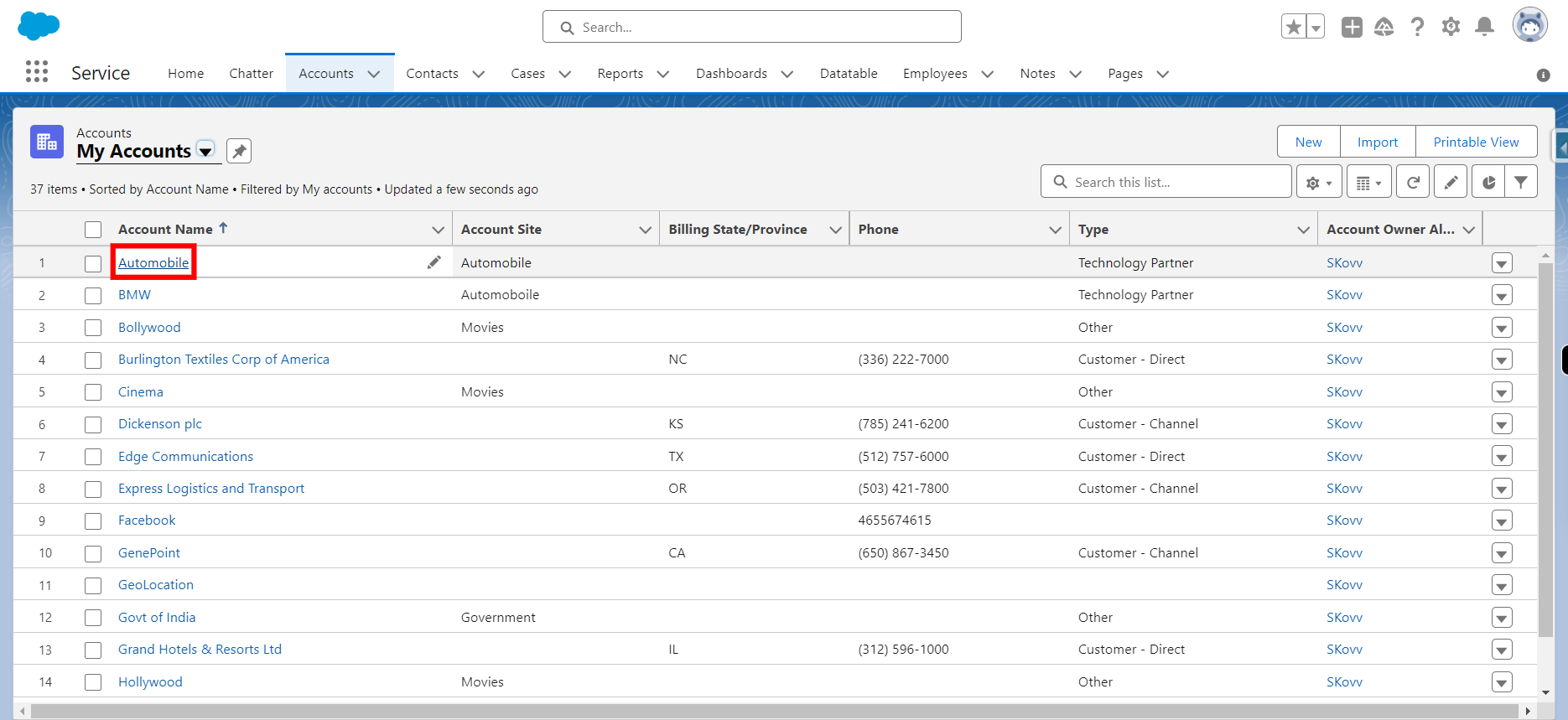 My Accounts | Accounts | Salesforce